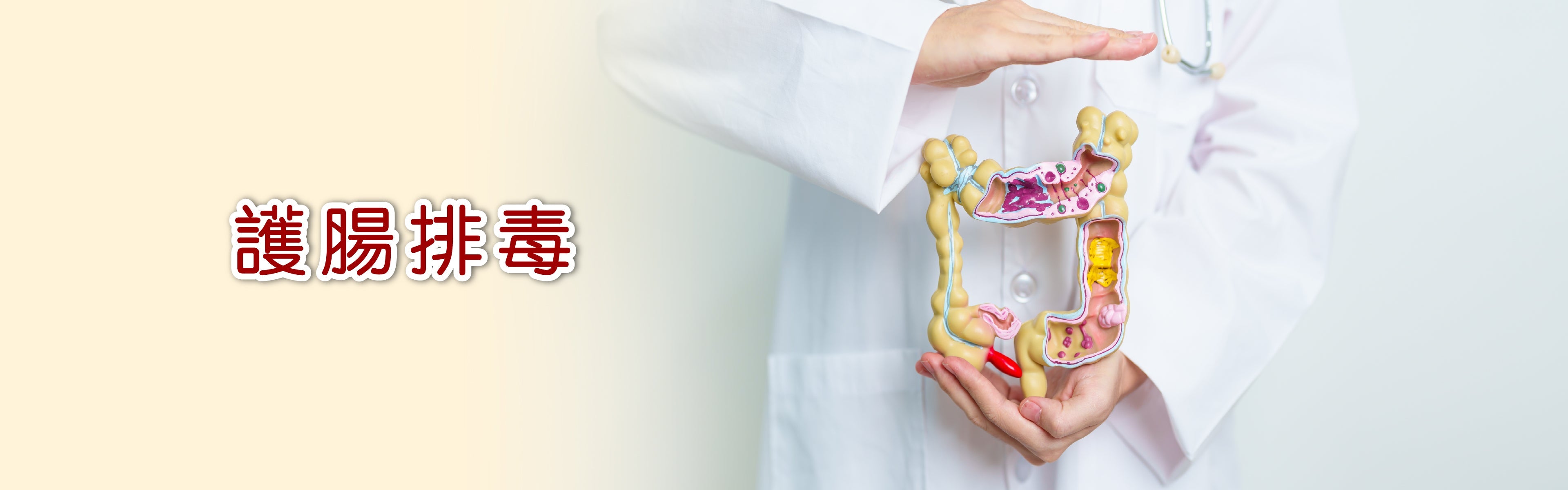 護腸、排毒