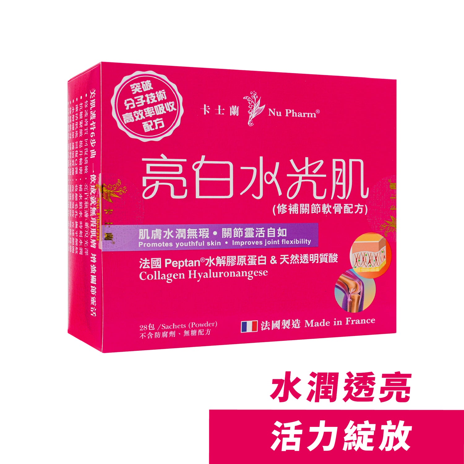 亮白水光肌 (修補關節軟骨配方)｜單盒裝
