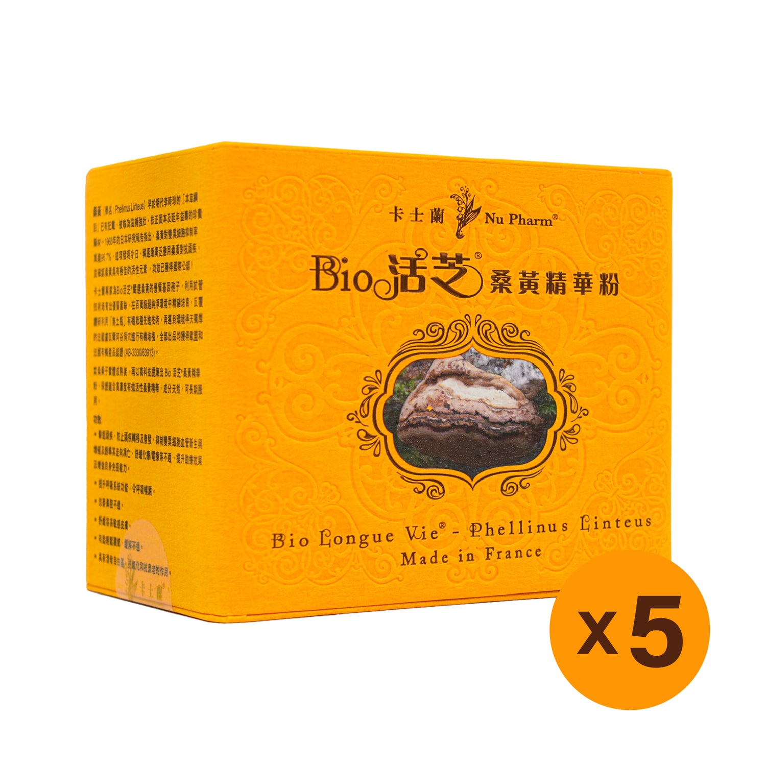 Bio 活芝®桑黃精華粉 | 單盒裝 x 5